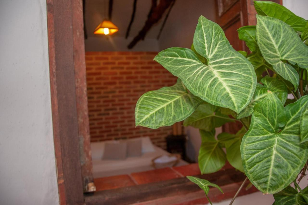 La Juanita Hostel バリチャラ エクステリア 写真